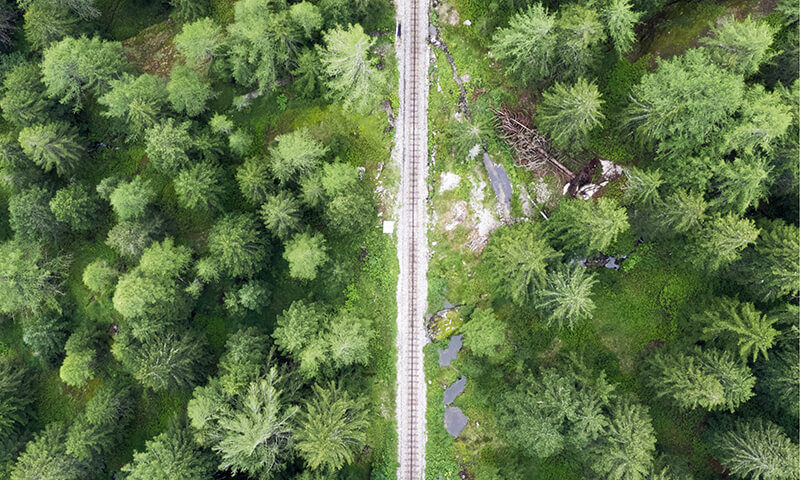 Labākais mežs Eiropā