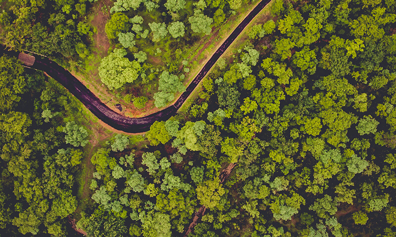 Meža īpašums pie Gaujas