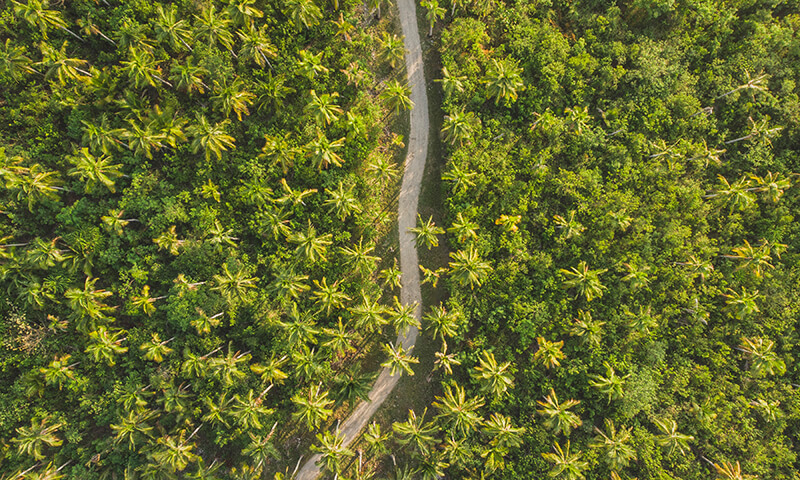 Viens no maniem meža īpašumiem